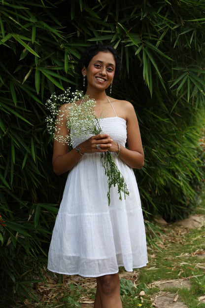 Tripti
